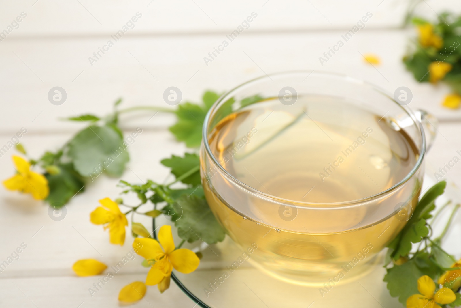 Photo of Glass cup of aromatic celandine tea and flowers on white wooden table, closeup. Space for text