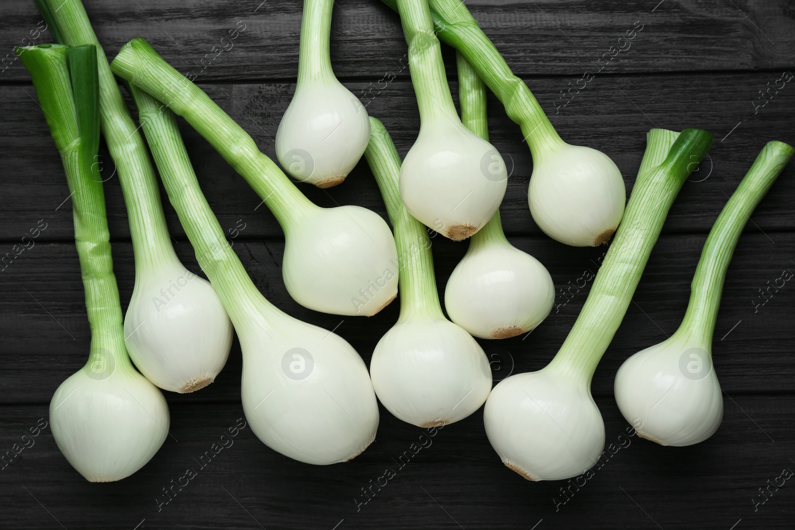 Photo of Whole green spring onions on black wooden table, flat lay