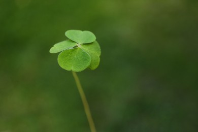 Beautiful green four leaf clover outdoors, closeup. Space for text