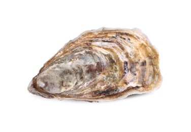 Photo of Fresh raw closed oyster isolated on white