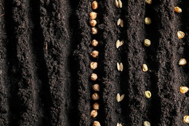 Photo of Rows with vegetable seeds in fertile soil, top view