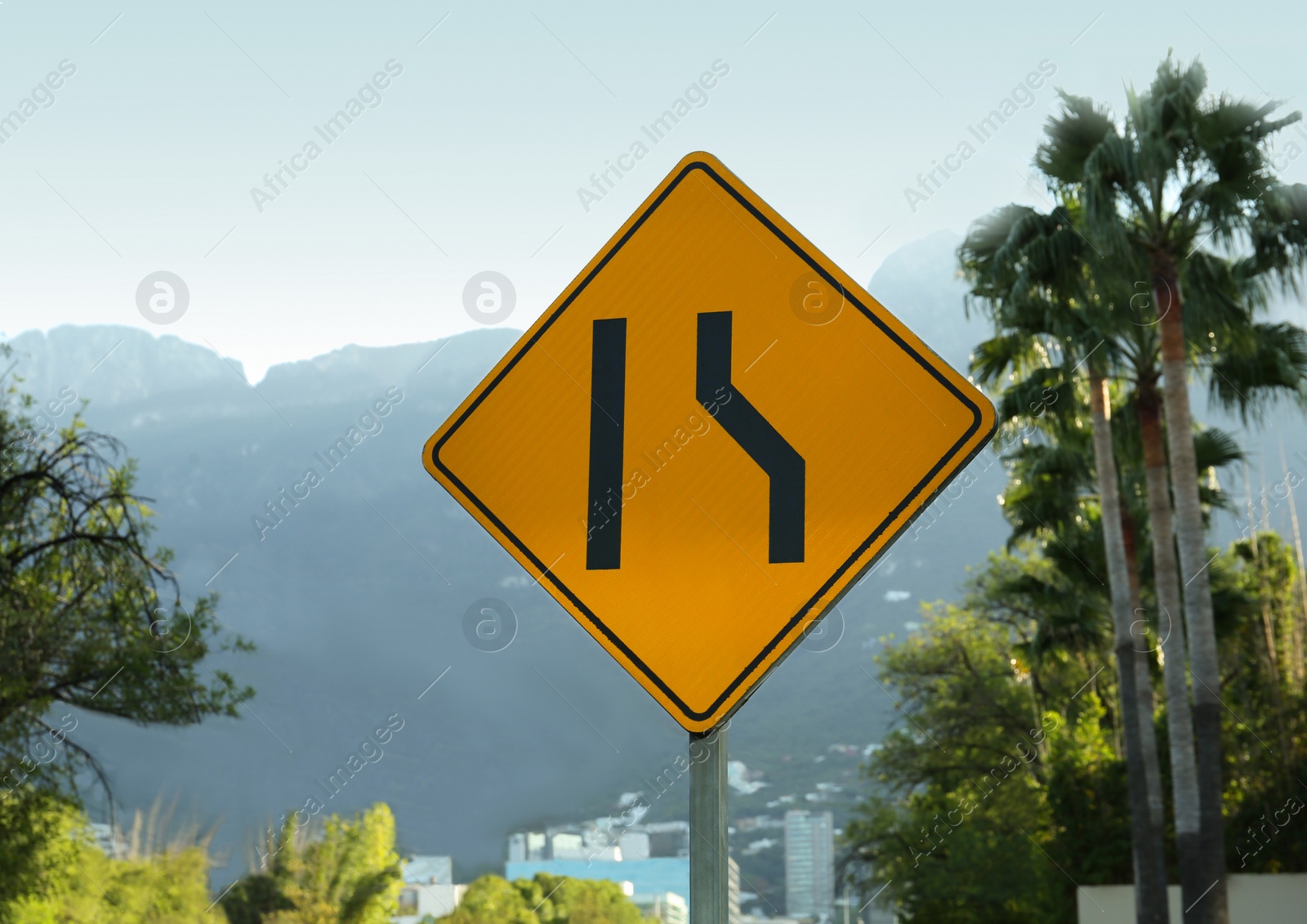 Photo of Yellow sign Road Narrows on city street