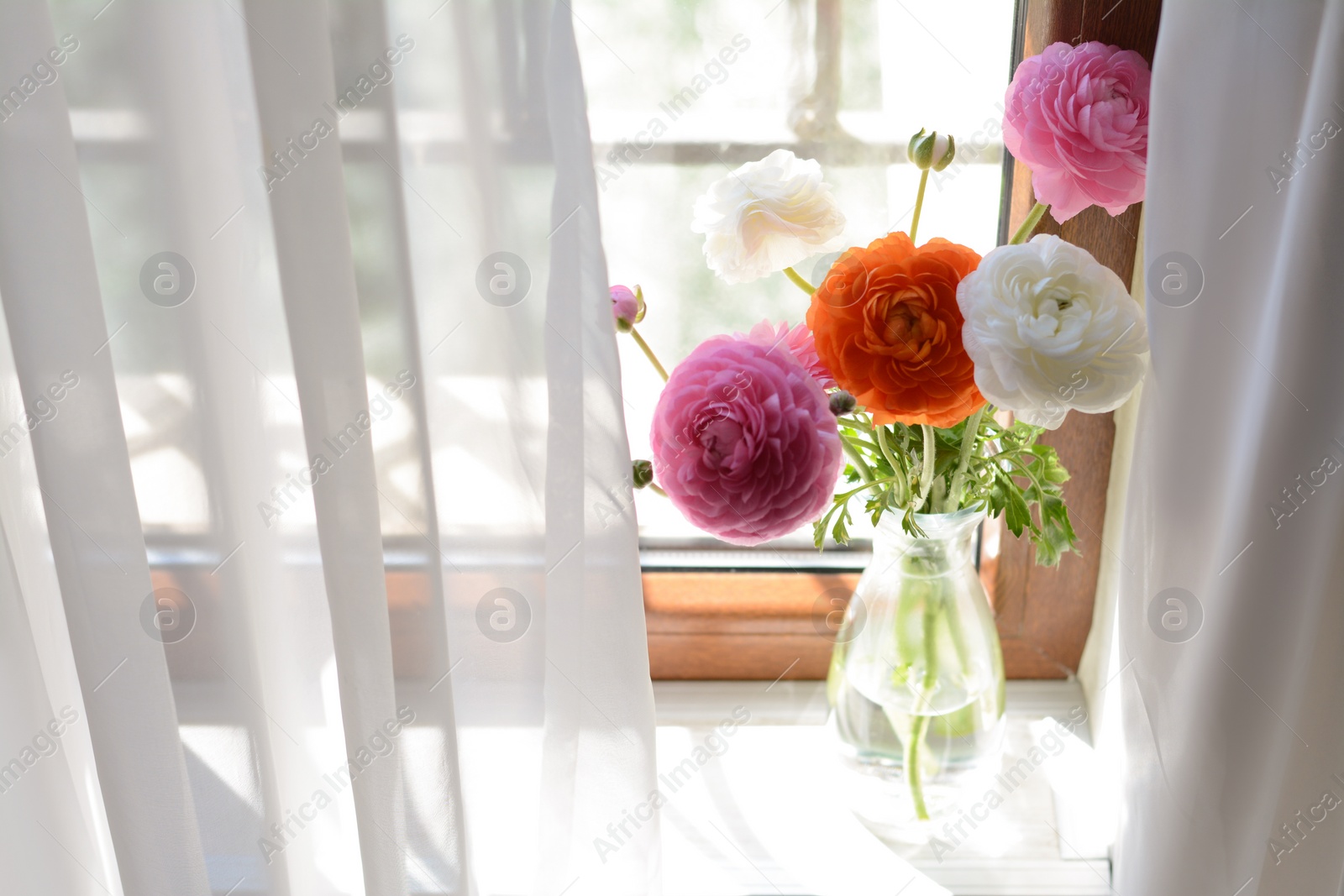 Photo of Bouquet of beautiful bright ranunculus flowers in glass vase on windowsill