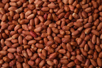 Many fresh unpeeled peanuts as background, top view