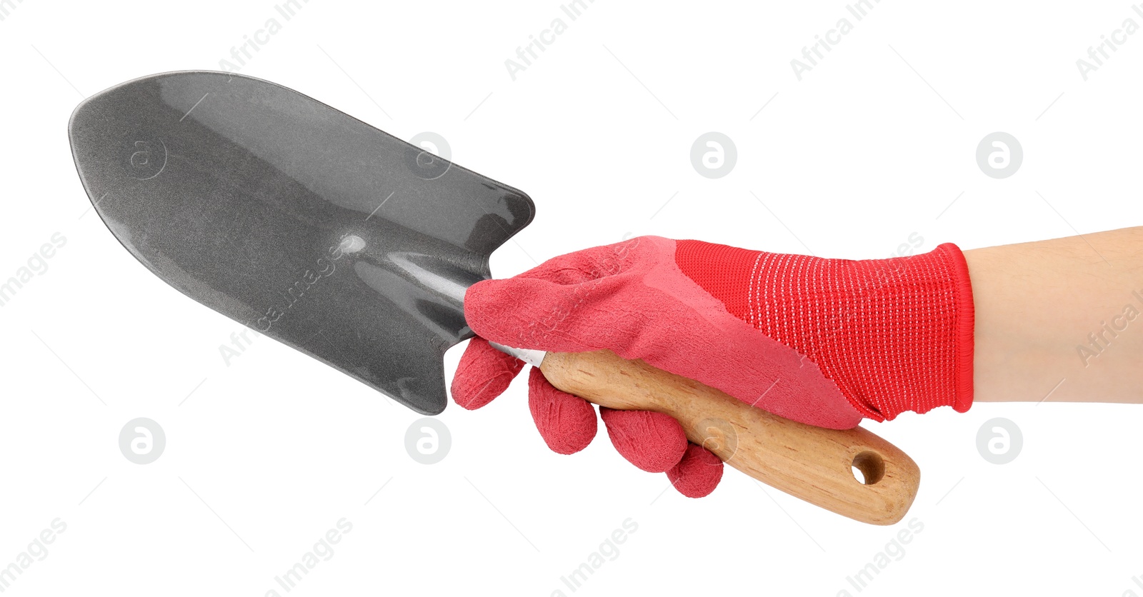 Photo of Woman in gardening glove holding trowel on white background, closeup