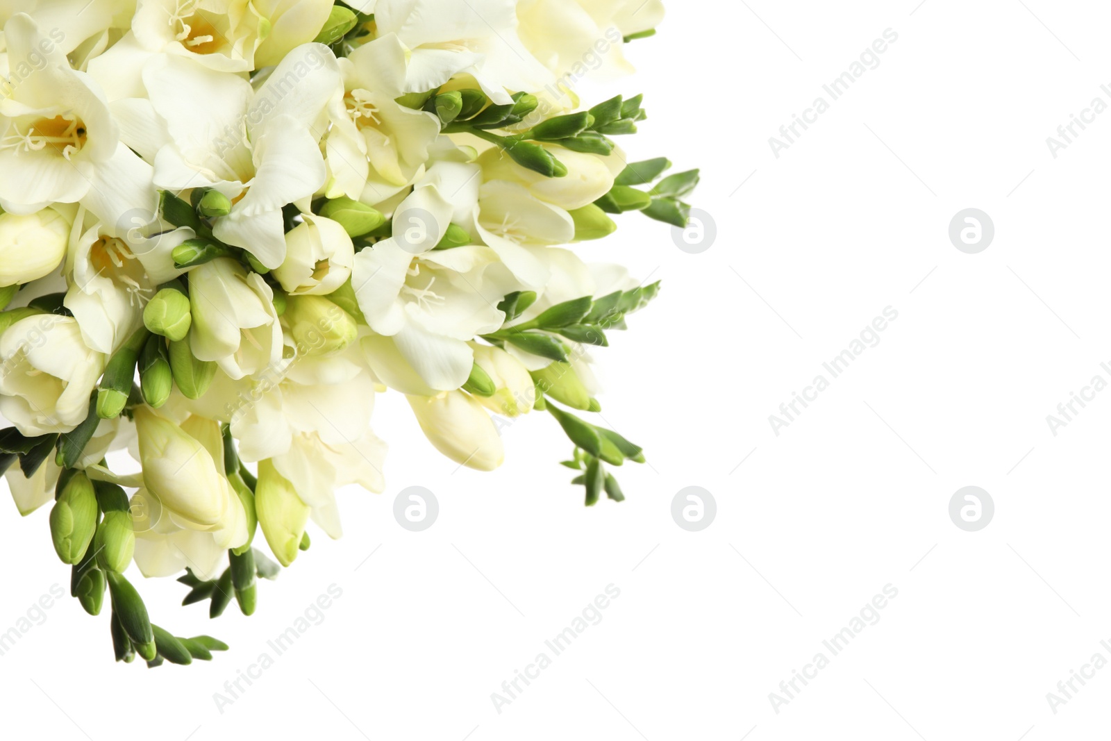 Photo of Beautiful aromatic freesia bouquet isolated on white