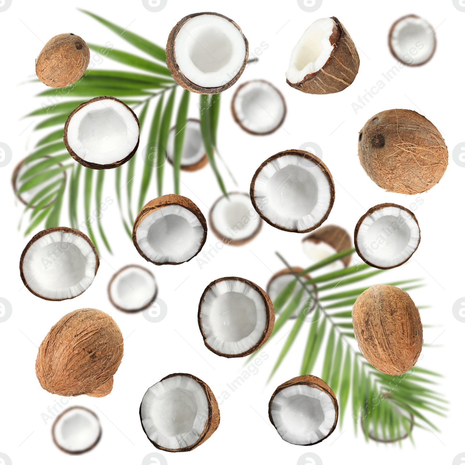 Image of Set with ripe coconuts and palm leaves on white background, top view