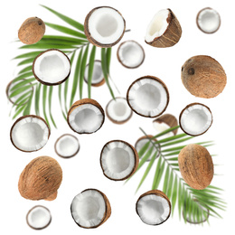 Image of Set with ripe coconuts and palm leaves on white background, top view