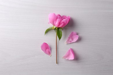 Photo of Beautiful pink peony flower and petals on white wooden table, top view