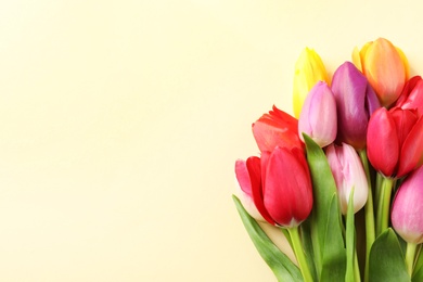 Beautiful tulips and space for text on color background, top view. Spring flowers