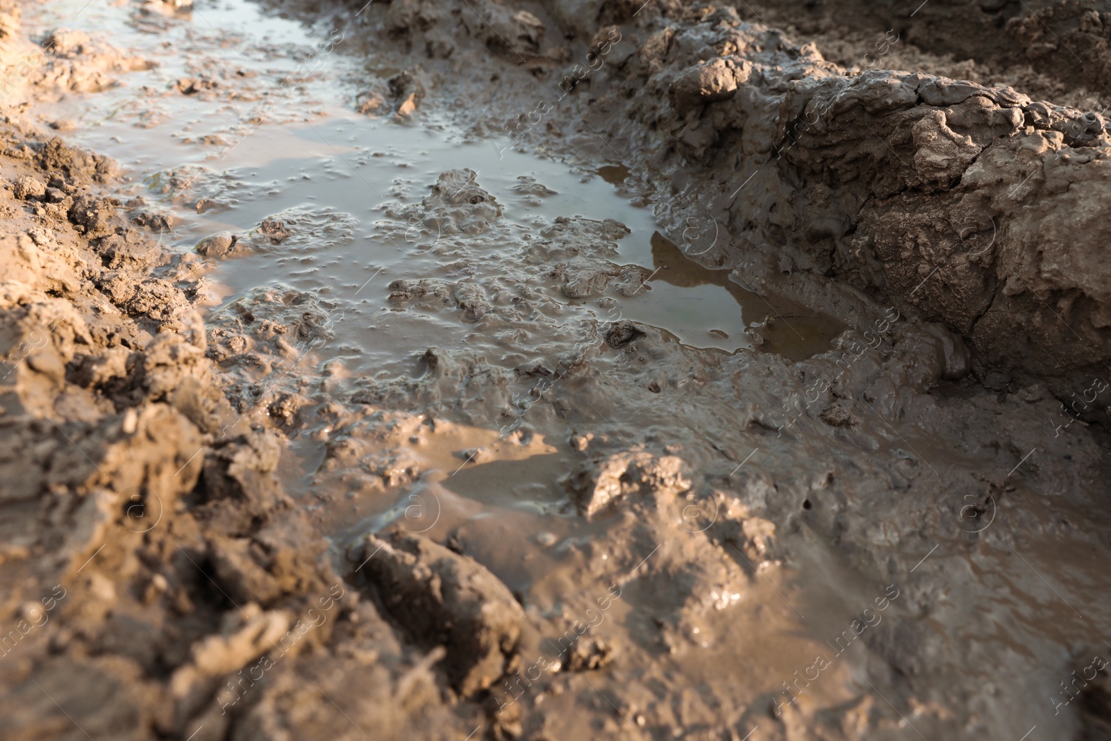 Photo of Closeup view of textured ground mud outdoors