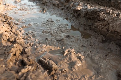 Photo of Closeup view of textured ground mud outdoors