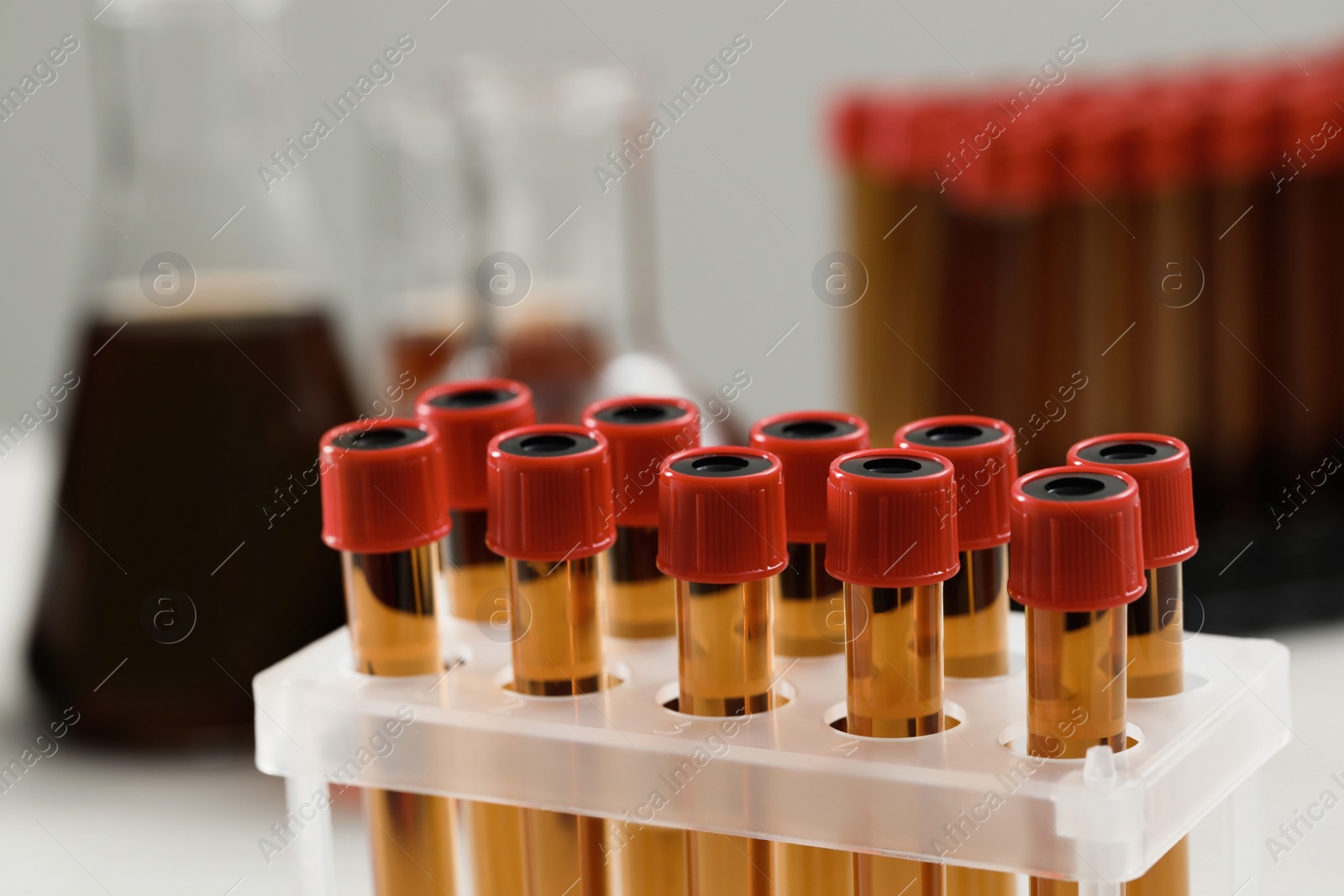 Photo of Test tubes with brown liquid in stand, closeup