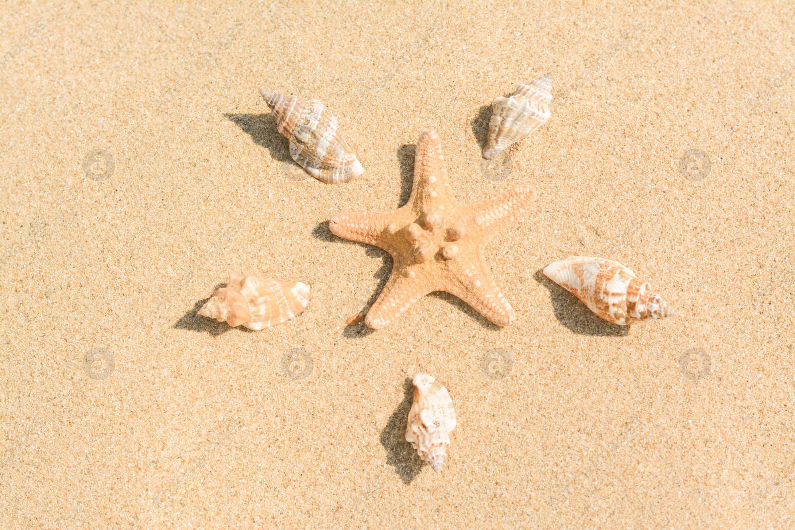 Photo of Beautiful starfish and sea shells on sandy beach, above view