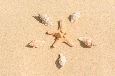Photo of Beautiful starfish and sea shells on sandy beach, above view