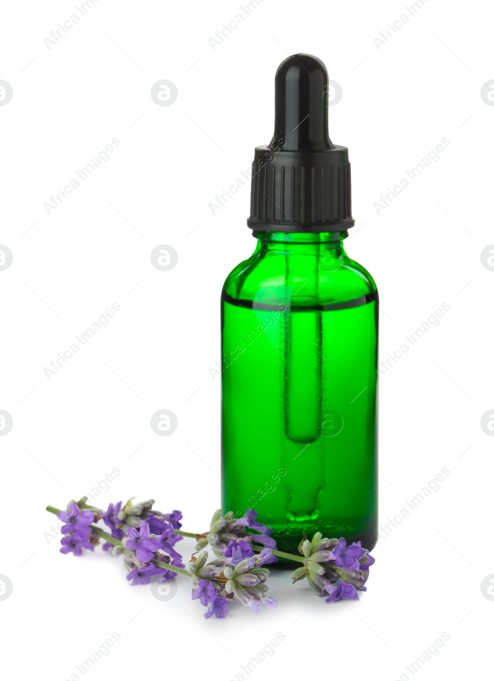 Photo of Bottle of essential oil and lavender flowers isolated on white