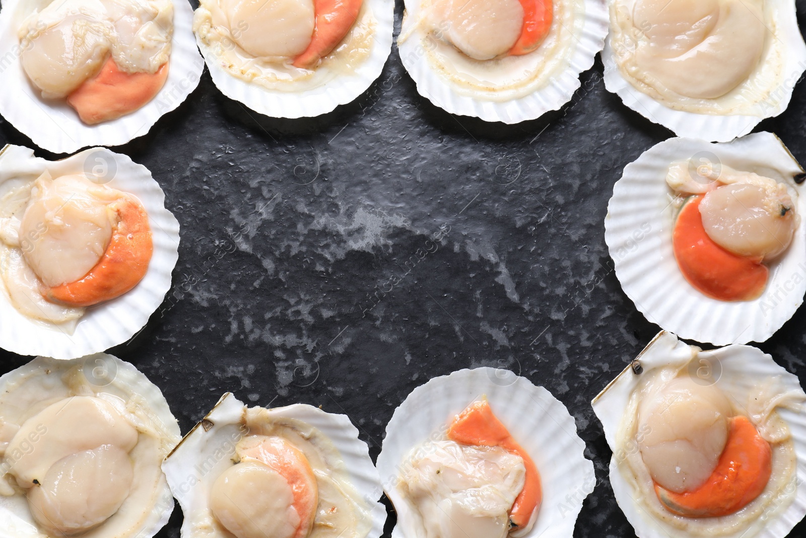 Photo of Frame made of fresh raw scallops with shells on black textured table, flat lay. Space for text