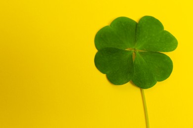 Photo of Beautiful green four leaf clover on yellow background, top view. Space for text