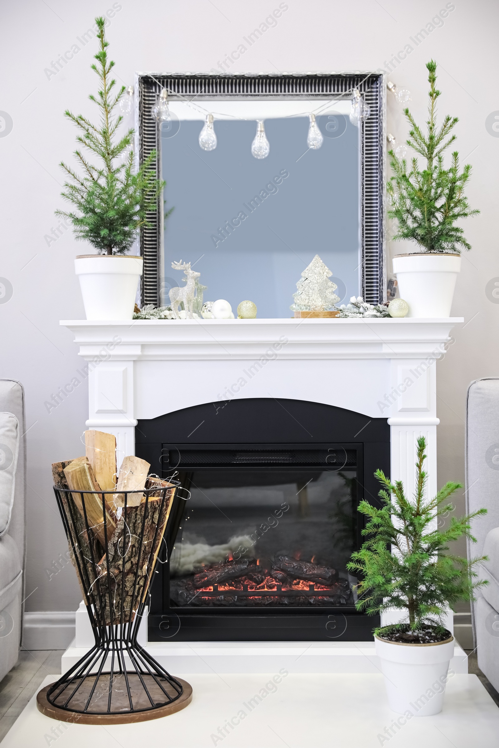 Photo of Little fir trees and Christmas decorations in room. Stylish interior design