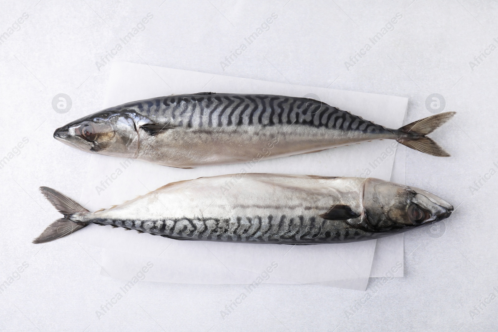 Photo of Tasty salted mackerels on light table, top view