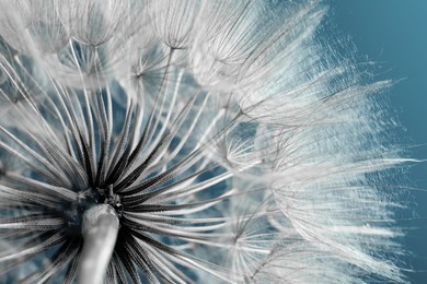 Image of Beautiful fluffy dandelion flower on pale light blue background, closeup. Color toned