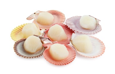 Photo of Many fresh raw scallops in shells isolated on white