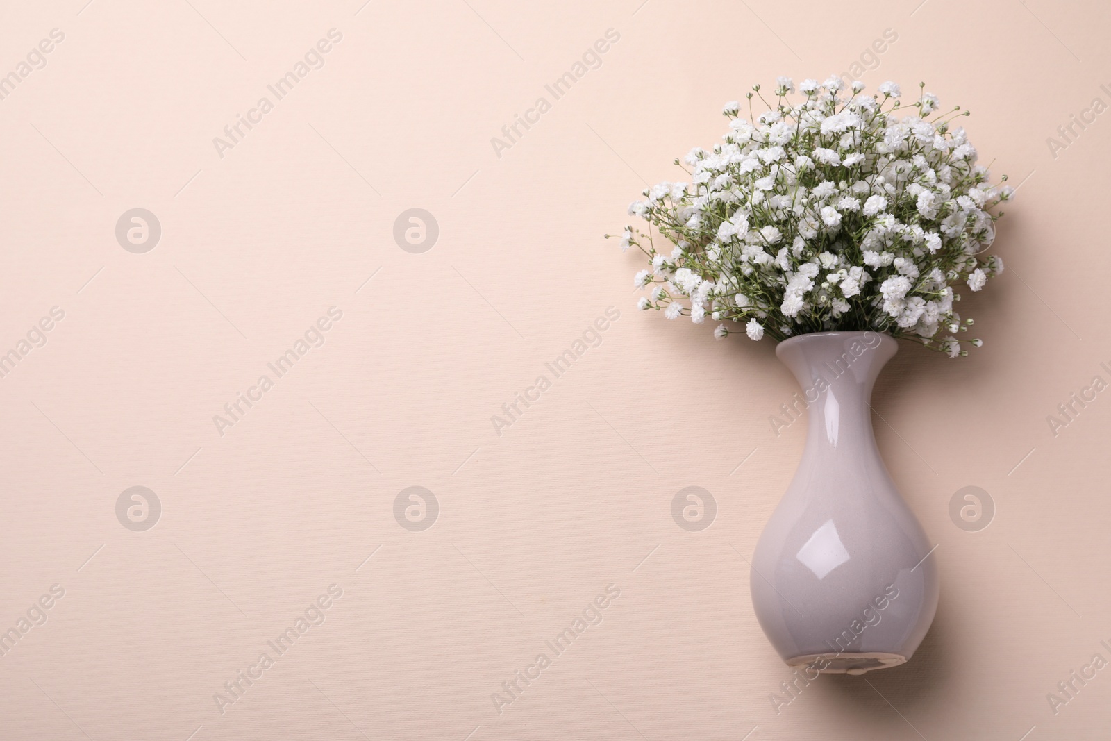 Photo of Bouquet of white gypsophila in ceramic vase on beige background, top view. Space for text