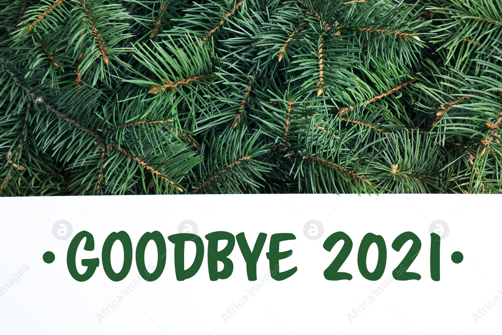 Image of Card with phrase Goodbye 2021 on Christmas tree branches, top view