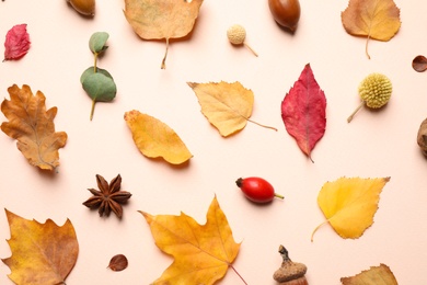 Photo of Flat lay composition with autumn leaves on light background