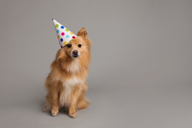 Cute dog with party hat on light grey background, space for text. Birthday celebration