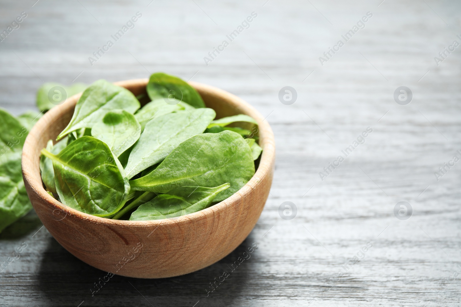 Photo of Fresh green healthy spinach on dark wooden table. Space for text