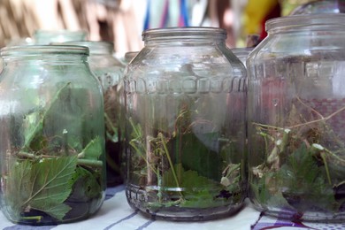 Photo of Glass jars with different herbs on table. Pickling vegetables
