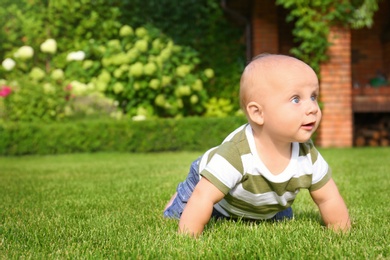 Photo of Adorable little baby crawling on green grass outdoors