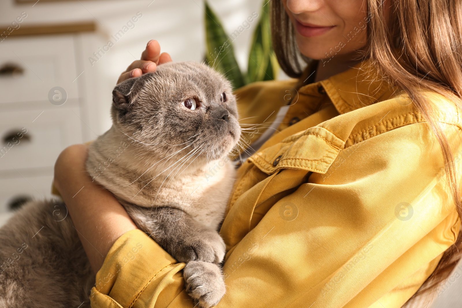 Photo of Young woman with cute cat at home, closeup. Fluffy pet