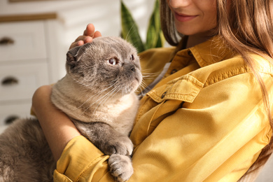 Young woman with cute cat at home, closeup. Fluffy pet