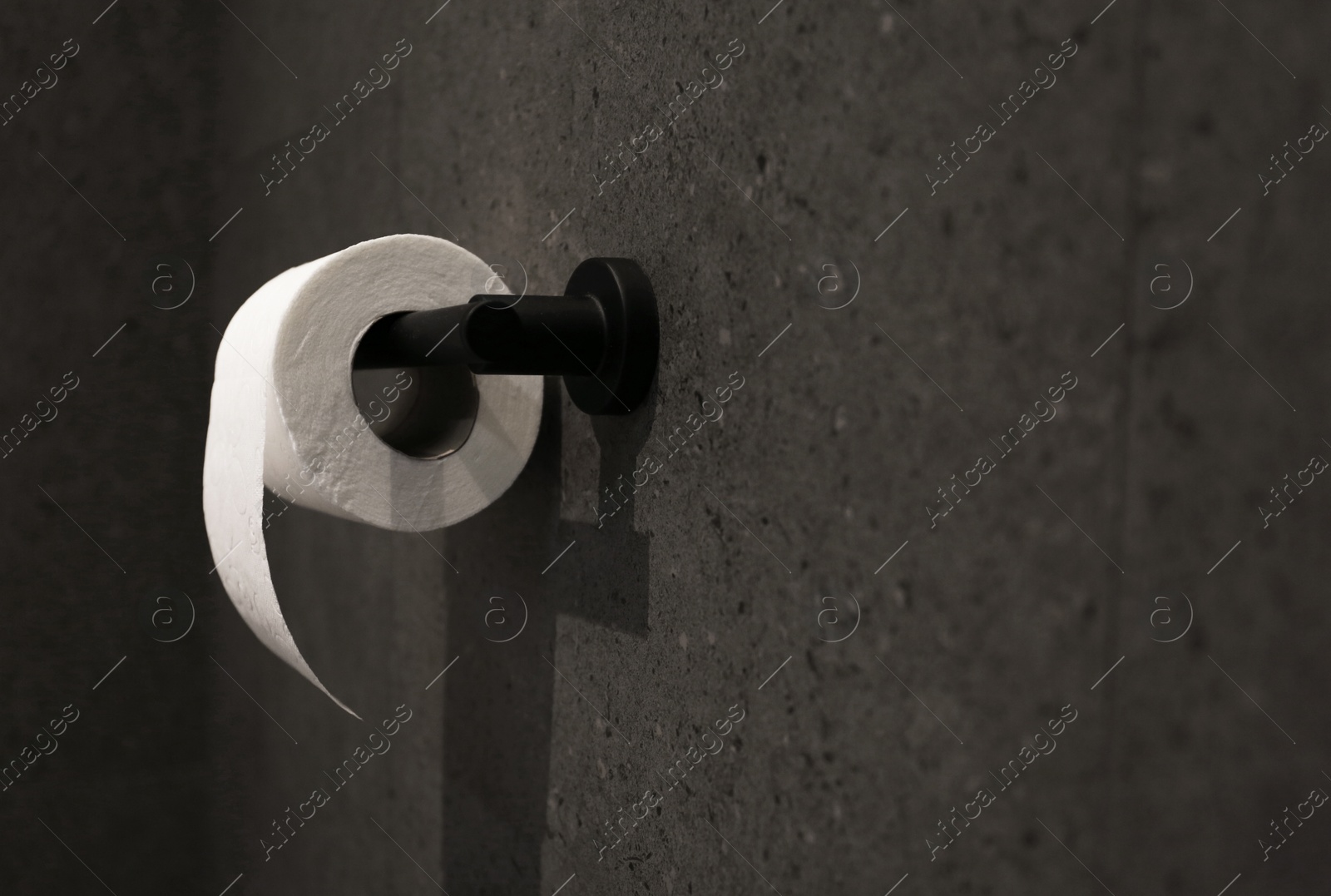 Photo of Toilet paper holder with roll mounted on dark wall. Space for text