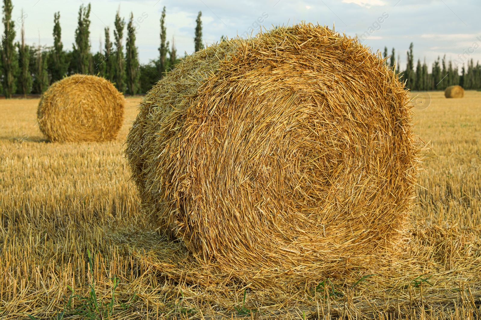 Photo of Beautiful view of agricultural field with hay bales