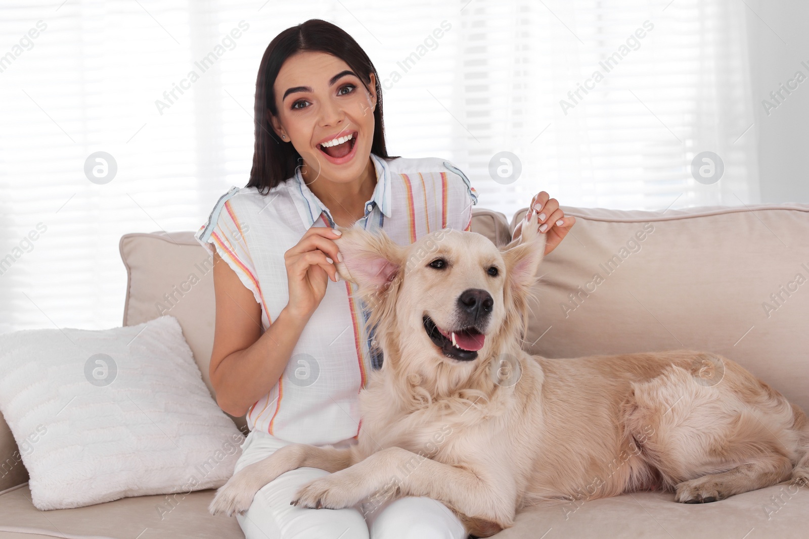 Photo of Young woman and her Golden Retriever dog having fun on couch in living room
