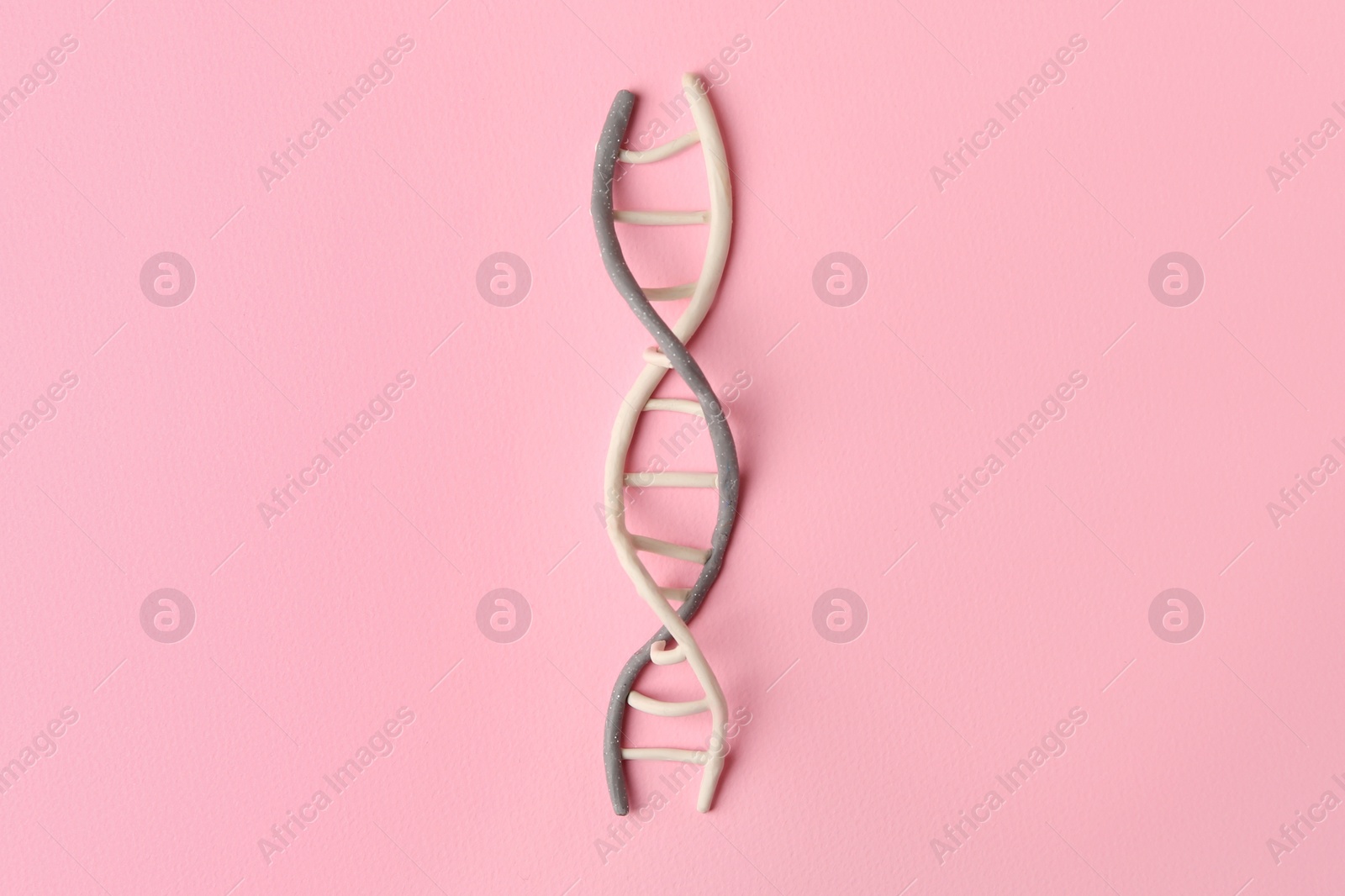Photo of Plasticine model of DNA molecular chain on pink background, top view