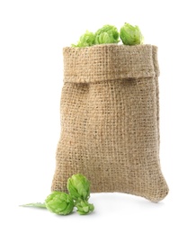 Sackcloth bag with fresh green hops on white background. Beer production