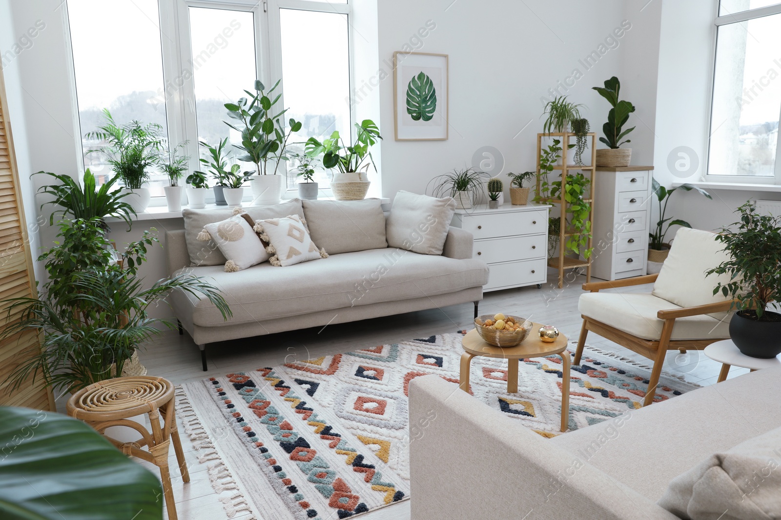 Photo of Stylish room with comfortable sofa, armchair and beautiful houseplants. Interior design