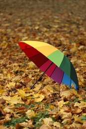 Open rainbow umbrella on fallen leaves in autumn park