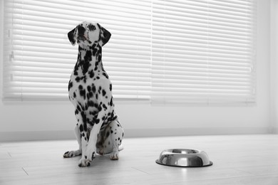 Adorable Dalmatian dog and feeding bowl indoors