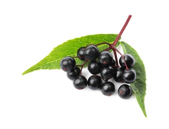 Photo of Delicious ripe black elderberries with green leaves isolated on white