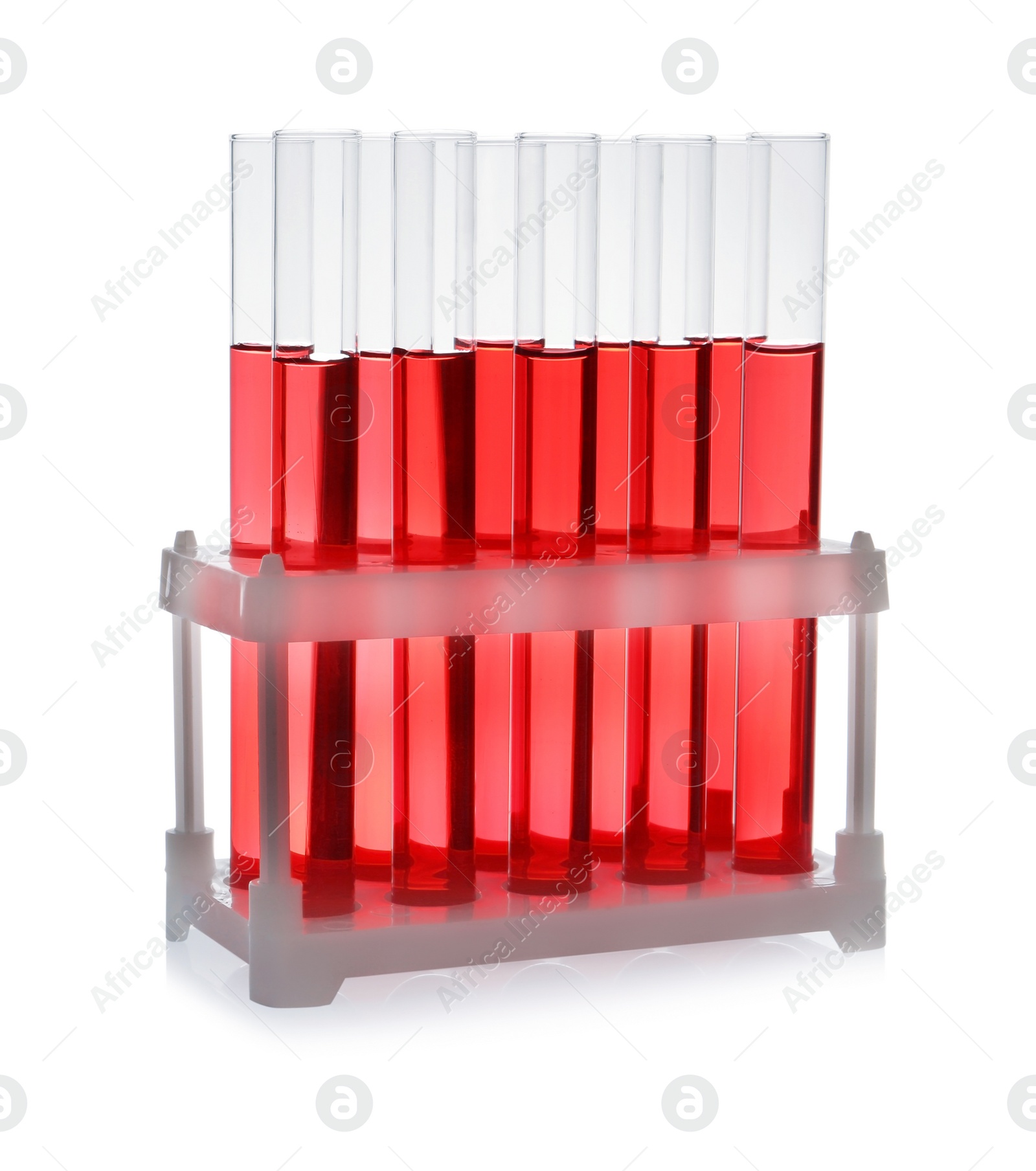 Photo of Test tubes with red liquid on white background. Laboratory glassware