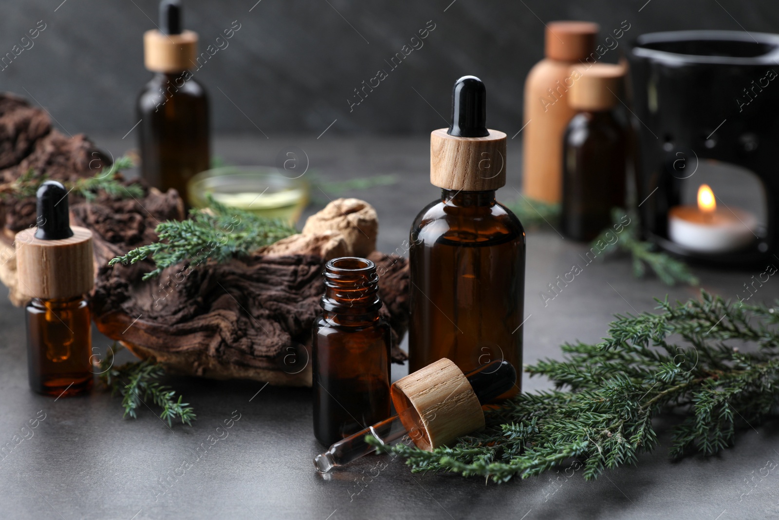 Photo of Bottles of juniper essential oil and twigs on grey table