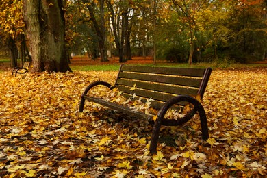 Photo of Wooden bench and fallen yellowed leaves in park