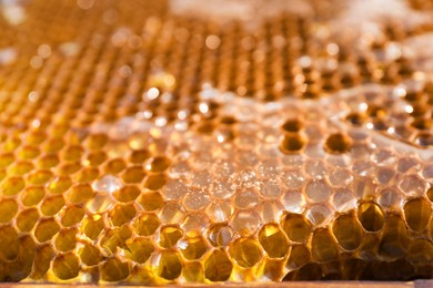 Photo of Uncapped filled honeycomb as background, closeup view