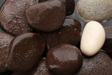 Photo of Spa stones in water as background, closeup. Zen lifestyle