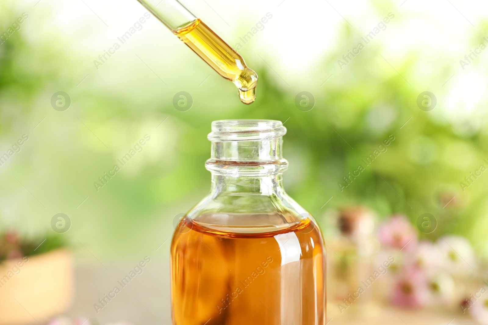 Photo of Dripping natural tea tree essential oil into bottle on blurred background, closeup